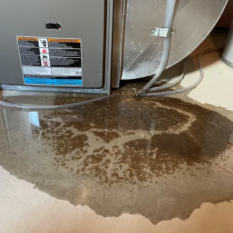 Appliance Leak Cleanup in Harrisonville, MO