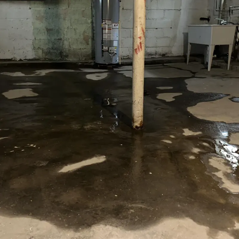 Emergency Water Extraction And Removal in Harrisonville, MO